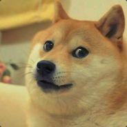 STRUDELPOTATO's - Steam avatar