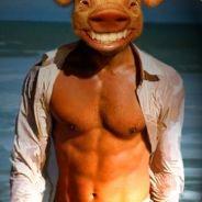 Super Cerdo's Stream profile image