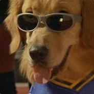 Air Bud's Stream profile image