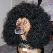 Jeuri^'s - Steam avatar