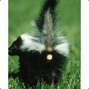 SkunkPiss's Stream profile image