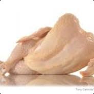 babecock's - Steam avatar