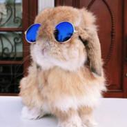 Mr.Bunny's Stream profile image