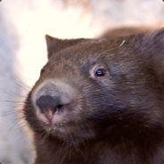 Sekrath's Stream profile image