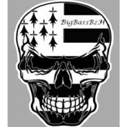 BigBassBzH's Stream profile image