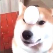 mumboface's Stream profile image