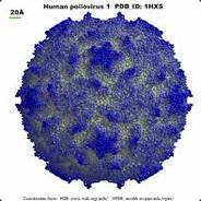 Polio's - Steam avatar