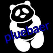 pluebaer #fickdieAFD's - Steam avatar