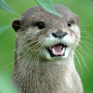 OtterlyJP's Stream profile image