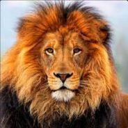 donjaviere's Stream profile image