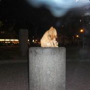 CL500's Stream profile image