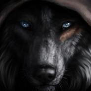 Wolf's Stream profile image