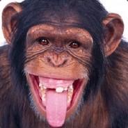 chimpnsea's Stream profile image