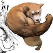 Shiba-sumo's Stream profile image