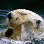 MagicLoutre's - Steam avatar