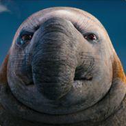 beachmasterbryan's - Steam avatar