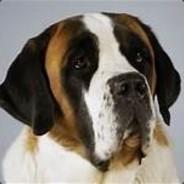 wade830911's - Steam avatar