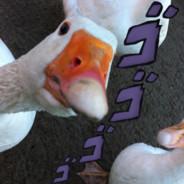 TheDucksAreWatching's Stream profile image