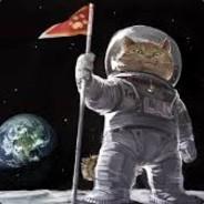 Kattastronaut's Stream profile image