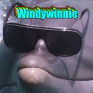 Windywinnie's Stream profile image