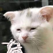 Jope's Stream profile image