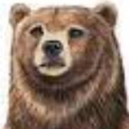 FuzzyWuzzyVonBear's Stream profile image