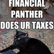 Financial Panther's Stream profile image