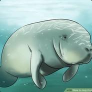 Manatee's Stream profile image