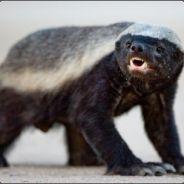 TheBadger's Stream profile image