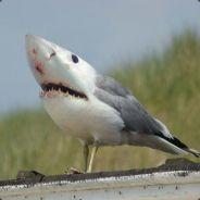 Ryoumad's - Steam avatar
