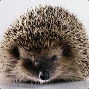 Elite_Hedgehog's - Steam avatar