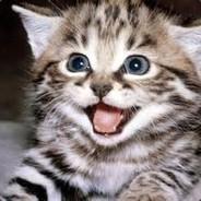 lechat10's - Steam avatar