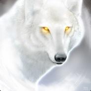 Icemansam44's Stream profile image