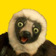 Zoboomafoo's - Steam avatar