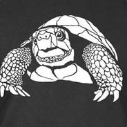 Turturibus's - Steam avatar