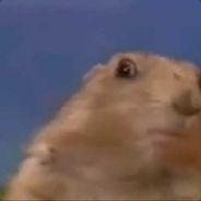 WickedEmpire's - Steam avatar