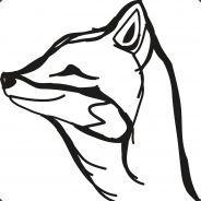 Enlightened_Fox's Stream profile image