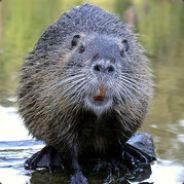 Benneweis's Stream profile image