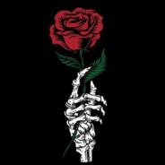 akirax's Stream profile image