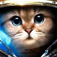Koci's - Steam avatar