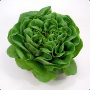 Kopfsalat's Stream profile image