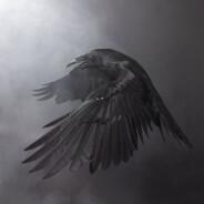 Raven's Stream profile image