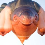 skywhale's - Steam avatar