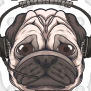 ElCHETOx's Stream profile image