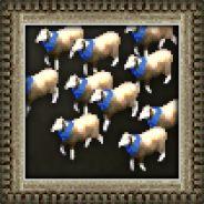 30 sheeps's - Steam avatar