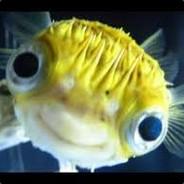 FISH's Stream profile image