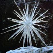 Snowthorn's - Steam avatar