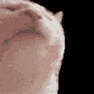 WildTard's Stream profile image
