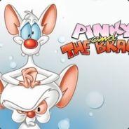 Pinky[CWB]'s - Steam avatar