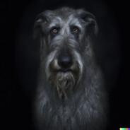 gg's Stream profile image